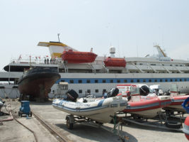 mavi marmara