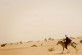 Un jinete tuareg al noroeste de la ciudad de Gao, en el norte de Malí | © LdV