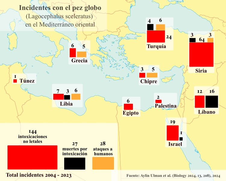 Pezglobo Impacto