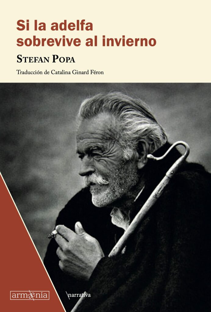 Popa adelfa